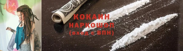 дмт Новозыбков
