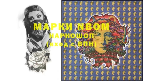 дмт Новозыбков
