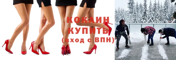 дживик Новодвинск