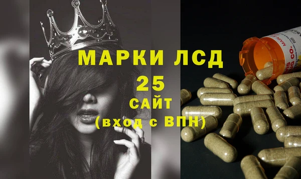 дмт Новозыбков