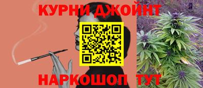 бошки Дубна