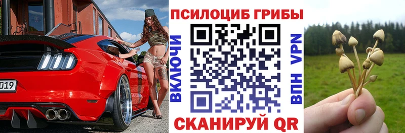 Галлюциногенные грибы Magic Shrooms  kraken как зайти  Людиново 