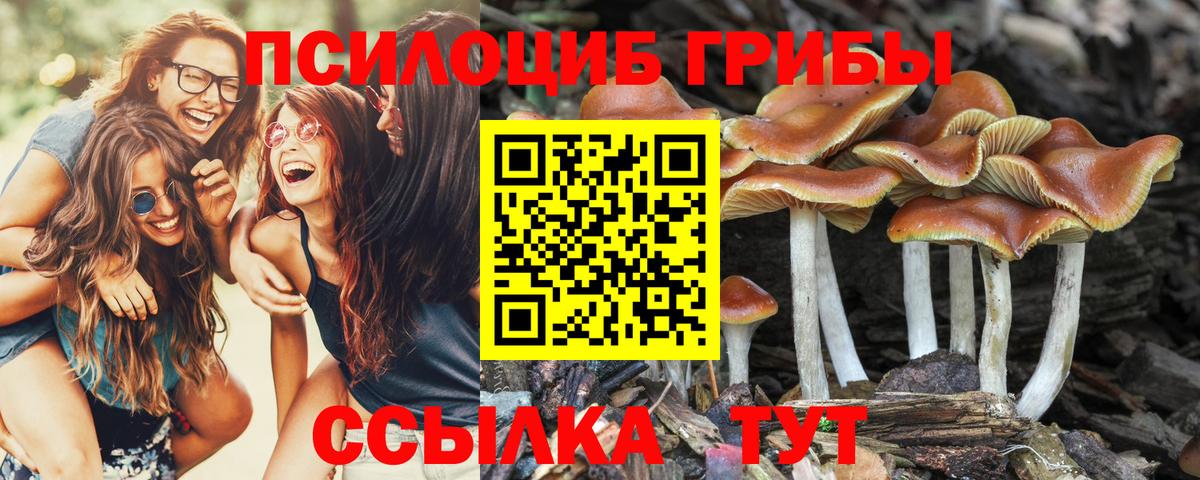 Псилоцибиновые грибы Magic Shrooms  Вход с VPN  Галлюциногенные грибы мицелий  Людиново 