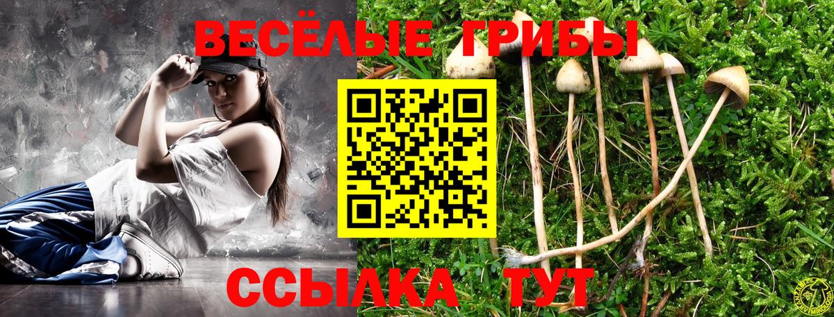 Псилоцибиновые грибы мухоморы Людиново